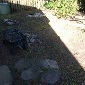 Leaf Removal by The lawn Guy reviewed on November 9, 2025