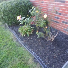 Flower Bed Weeding by Kennedy Lawn Care reviewed on August 20, 2025