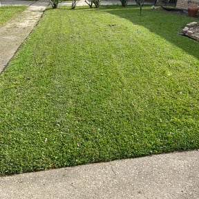 landscaping services by DTE Maintenance Llc reviewed on August 19, 2025