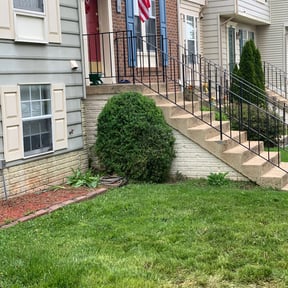Bush Trimming by None reviewed on August 20, 2025