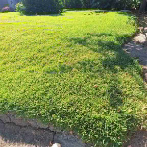yard care by Boss Outdoor Service reviewed on August 19, 2025