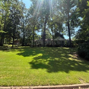 Lawn Mowing by The Bilingual Landscape Artist reviewed on August 20, 2025