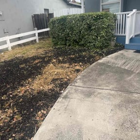 Bush Trimming by A and L lawn Care Professionals reviewed on August 19, 2025