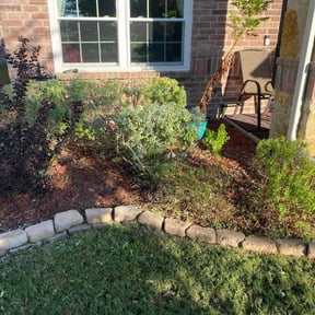 Bush Trimming by Ejs landscaping services reviewed on November 18, 2025