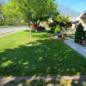 turf care by Signature Lawn Care LLC. reviewed on April 30, 2024