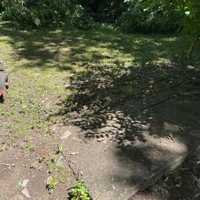 Leaf Removal by DOGO YARDSCAPES reviewed on September 27, 2025