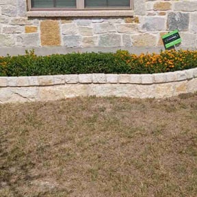 Bush Trimming by Green World Lawn Care reviewed on July 23, 2023