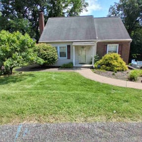 landscaping services by Haunslawn@gmail.com reviewed on November 19, 2025