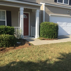 Bush Trimming by ClearCoast Lawn Solutions reviewed on August 17, 2025