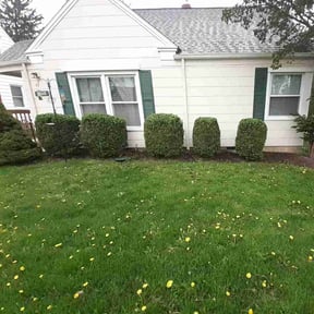 Bush Trimming by Jay Jay & W Landscaping, LLC reviewed on August 21, 2025