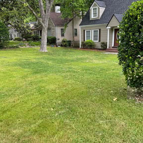 landscaping by Multi Purpose Lawncare reviewed on August 20, 2025