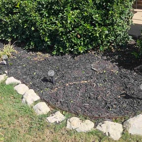 Flower Bed Weeding by Beloved Lawns reviewed on November 24, 2025