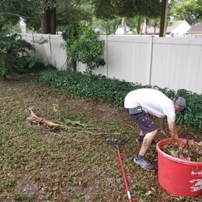 Bush Trimming by Hargett lawn services reviewed on August 16, 2025