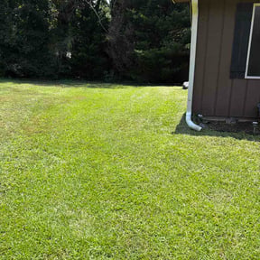 Flower Bed Weeding by God's blessing reviewed on August 22, 2026