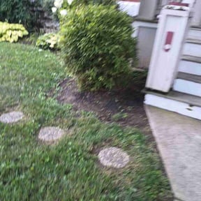 Bush Trimming by PineCrest Landscaping LLC reviewed on August 18, 2025