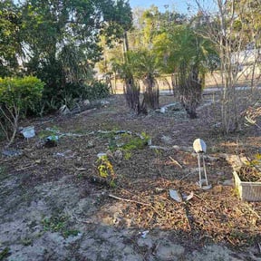 Bush Trimming by Bush Hog reviewed on January 31, 2026