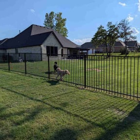 yard service by Lipscomb mowing reviewed on August 15, 2025