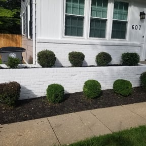 Bush Trimming by God's Gift Lawn maintenance reviewed on August 18, 2025