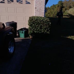 Bush Trimming by H&amp;P Lawn &amp; Landscaping, LLC reviewed on August 19, 2025