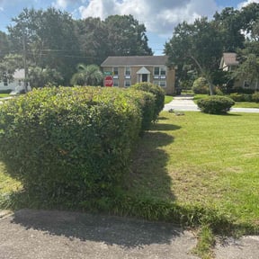 Bush Trimming by Keepn It Green reviewed on October 21, 2025