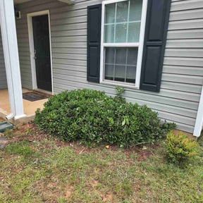 Bush Trimming by R&J Landscaping reviewed on August 16, 2025