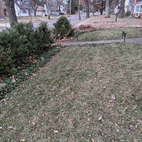 Leaf Removal by Mahan lawn care  reviewed on August 4, 2022