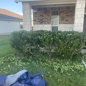 Bush Trimming by NATIONALYARDWORK.COM reviewed on November 9, 2025
