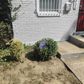 Bush Trimming by AllTex Home And Commercial Services reviewed on August 15, 2025