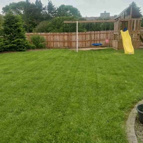 landscaping by GAMA Lawn Care Services reviewed on August 18, 2025