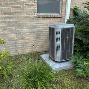 Flower Bed Weeding by Austins Landscaping reviewed on October 18, 2025