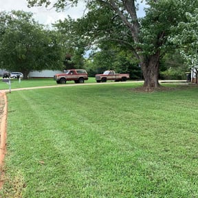 residential landscaping by Calleigh's Enterprise reviewed on August 15, 2025