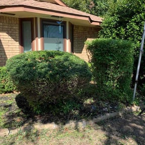Bush Trimming by HTx Landscaping Services reviewed on August 16, 2025