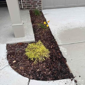Flower Bed Weeding by #1TLC reviewed on June 4, 2026