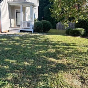 Bush Trimming by Grass King reviewed on October 21, 2025