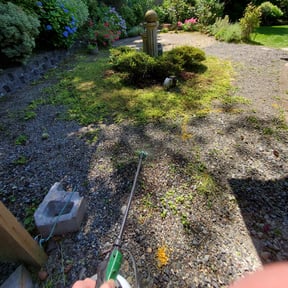 Flower Bed Weeding by DLAWN SERVICE LLC reviewed on August 16, 2025