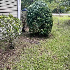 Bush Trimming by Paradise landscaping llc reviewed on September 3, 2026