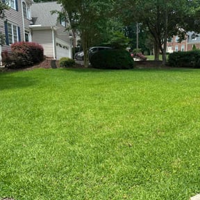 yard work by J.O.W Lawn and Landscaping Services reviewed on August 21, 2025