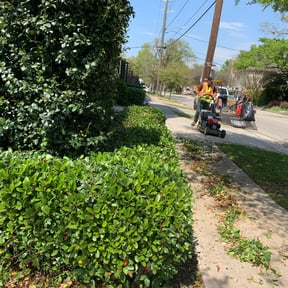 Bush Trimming by Precision Lawn Care reviewed on August 16, 2025