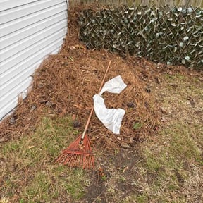 Leaf Removal by Moore &amp; Moore Lawns, LLC reviewed on September 17, 2025