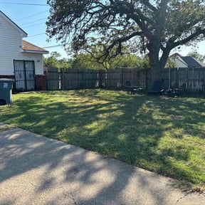 lawn care by Cutting up Lawn and Tree Care reviewed on August 16, 2025