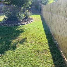 turf maintenance by P2P reviewed on August 31, 2024