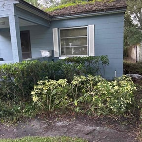 Bush Trimming by Big Nate&#039;s Lawn Care LLC reviewed on August 19, 2025