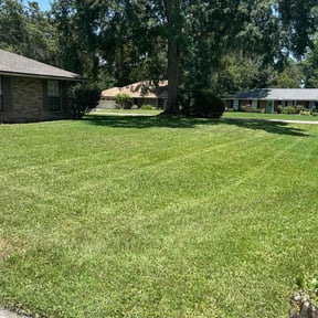 landscaping by DMD LAWN SVC reviewed on August 21, 2025