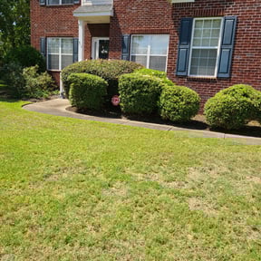 Bush Trimming by Miramontes Landscaping reviewed on August 16, 2025