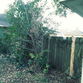 Bush Trimming by JC Excavation & Hauling reviewed on August 20, 2025