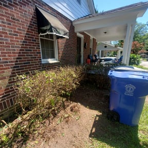 Bush Trimming by DKA handyman service reviewed on August 17, 2025
