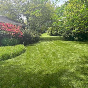 gardening service by Nice Lawns on Wheels reviewed on May 27, 2022