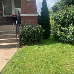 Bush Trimming by MunScapez reviewed on August 19, 2025