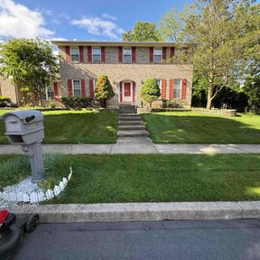 grass maintenance by GoGreen Lawn Service reviewed on August 16, 2025