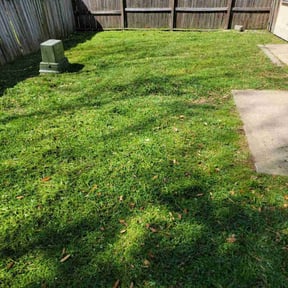 turf maintenance by Kelley Lawn Care reviewed on March 7, 2024